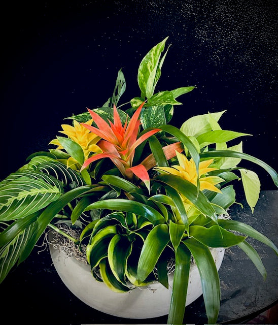 Luxe Planter Gardens