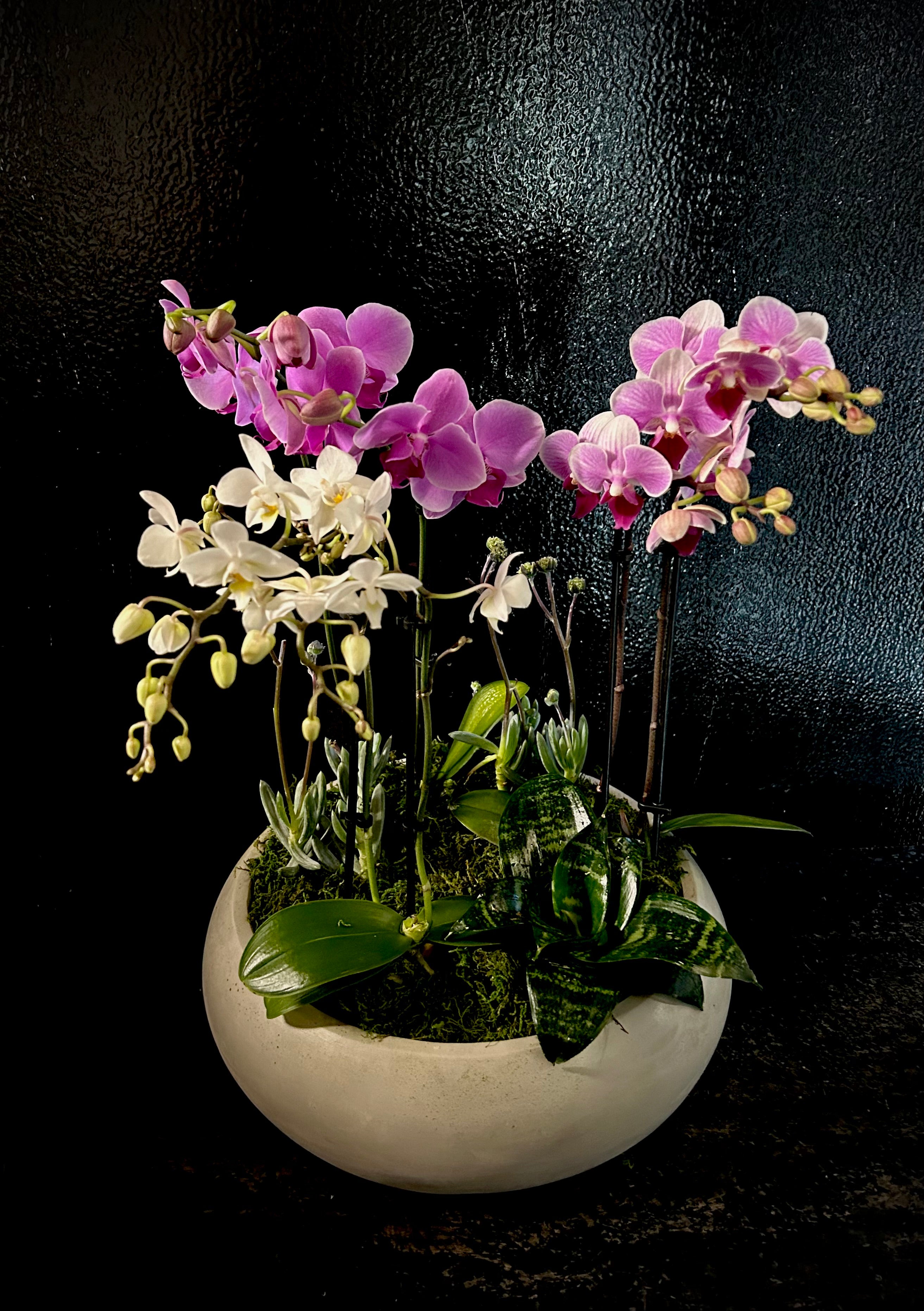 Orchid Planters