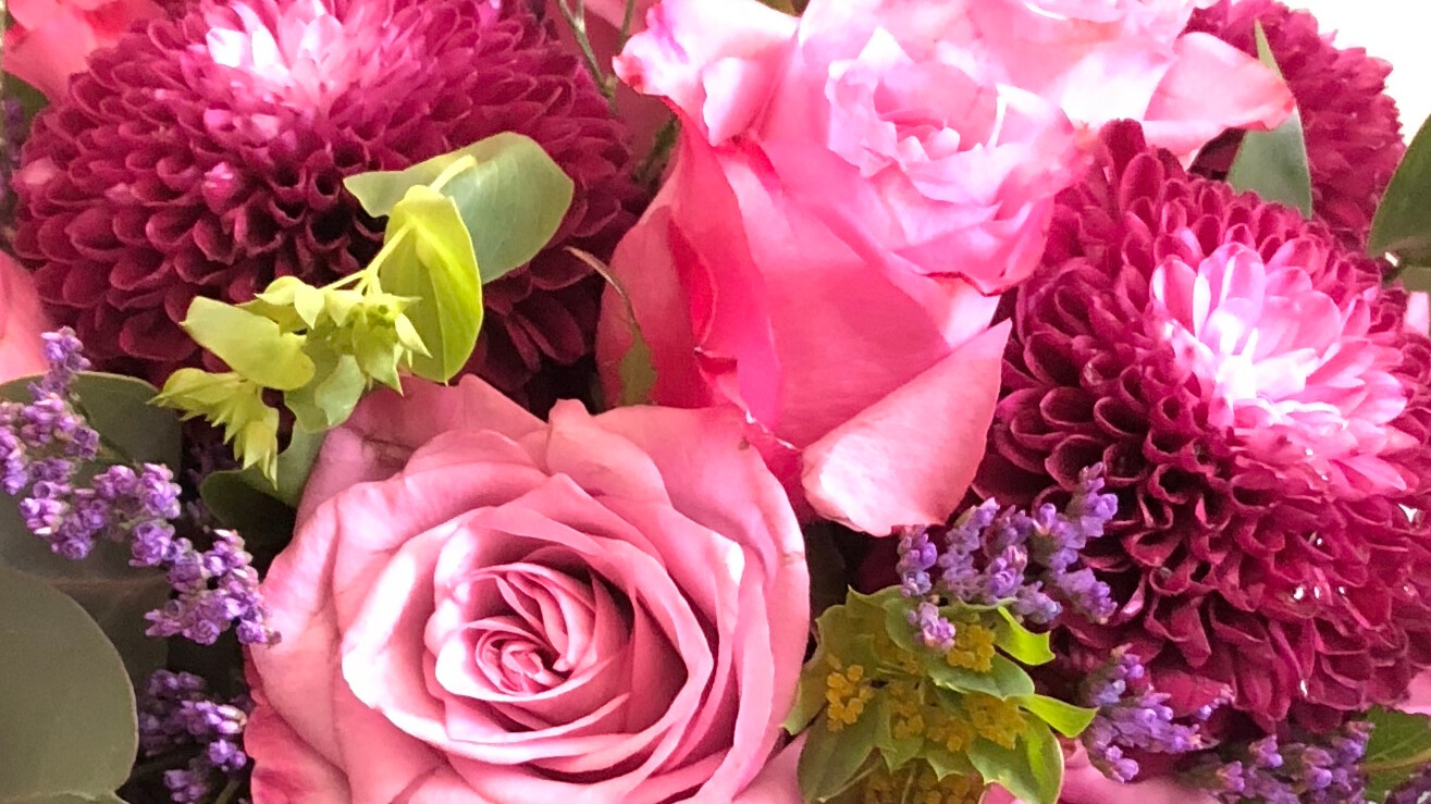 cover-photo-proper-size_77942e80-419d-433f-b5c3-64feb61cd048.png