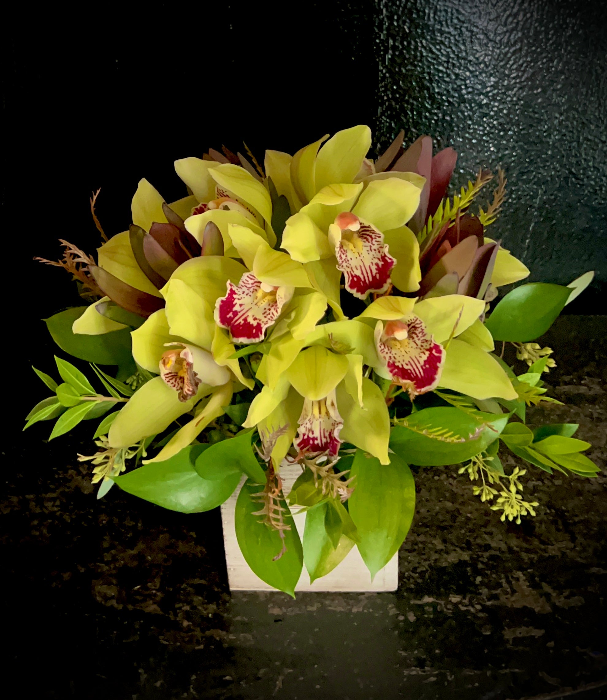 Cymbidium Charm