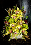 green cymbidium orchids with lush greenery in a natural colored square planter.