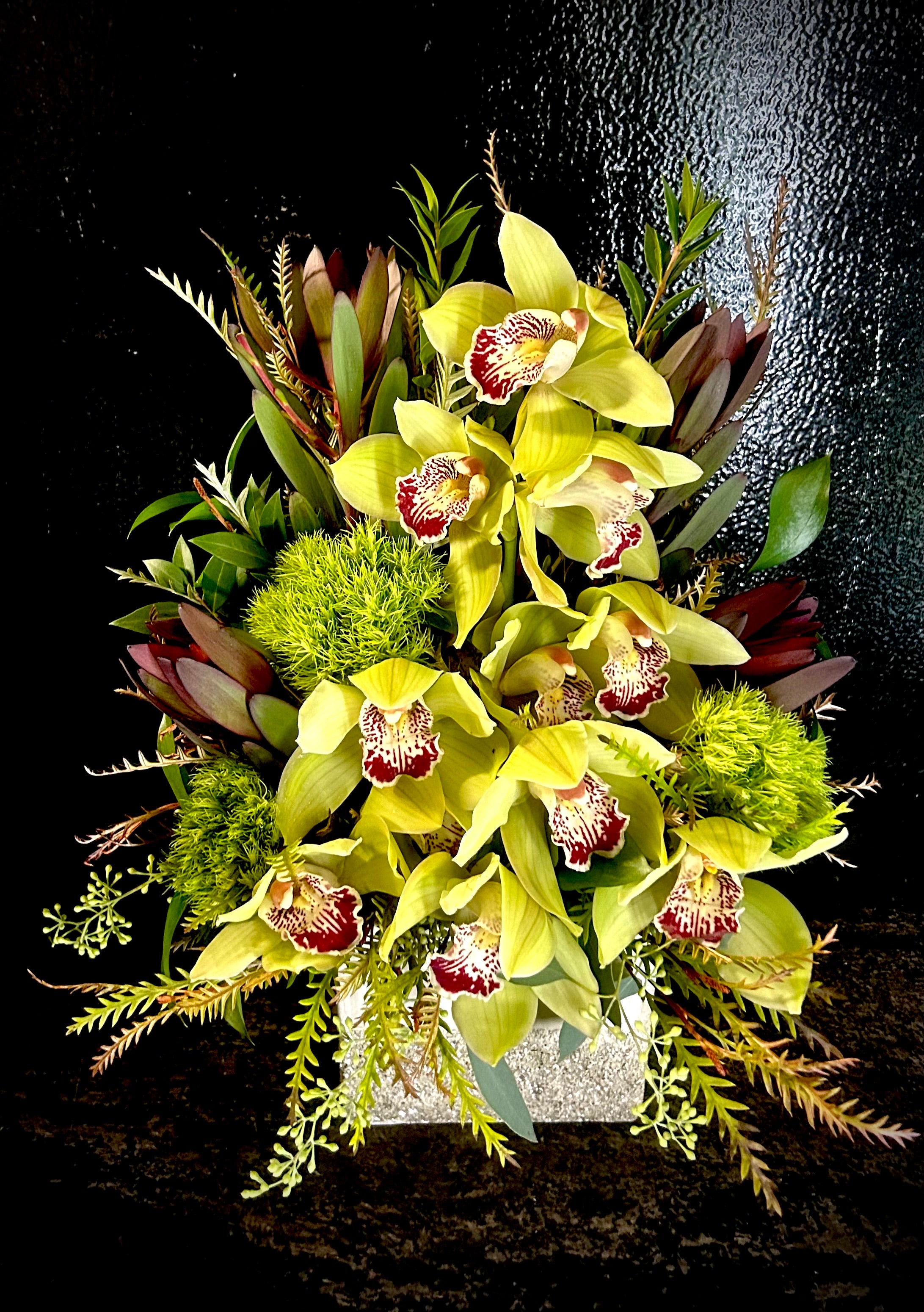 Cymbidium forest