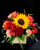 A cute box with mixed blooms and a sunflower.