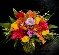 Lush, mixed tropical floral blend.