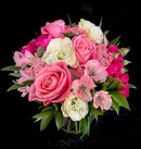 Essential Collection-Simple Sentiments